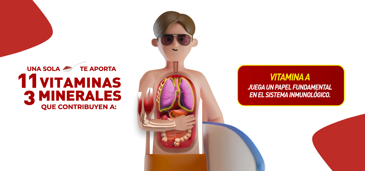 Pulmones